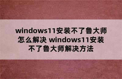 windows11安装不了鲁大师怎么解决 windows11安装不了鲁大师解决方法
